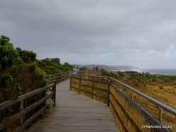 Great Ocean Road. 12 Apostles. Coastal wild plants (3)