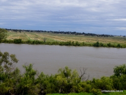Murray river (7)