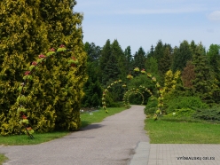 Salaspils Botanic Garden (5)