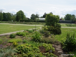 Salaspils Botanic Garden (7)