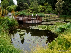 4 Royal Tasmanian Botanical Gardens (4)