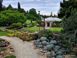Royal Tasmanian Botanical Gardens (2)