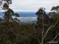 Mount Wellington (40)