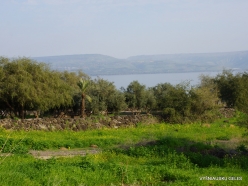 Capernaum. Sea of Galilee (Lake Tiberias, Kinneret) (8)
