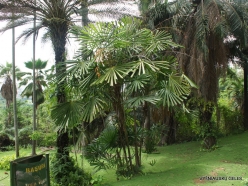 Guayaquil. Botanical garden. (10)