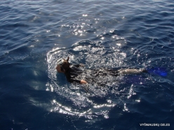 Red Sea. Snorkeling (5)