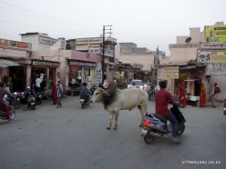 _37 Villages around Ranthambhore