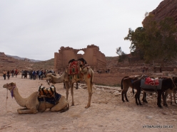Petra. Ancient City (13)