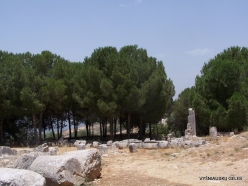 Qasr Naous Roman Temples (2)