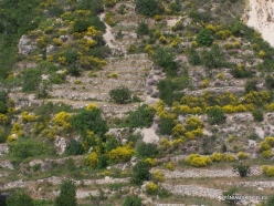 Wadi Kadisha (Kadisha Valley) (8)