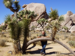 Joshua Tree National Park. Mojave desert (53)