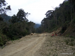 West Papua. Arfak Mountains. Hingk (12)