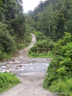 West Papua. Arfak Mountains. Kali Utai (3)