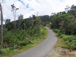 West Papua. Arfak Mountains. Meni (9)