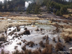 Yellowstone. Mud Volcano Area (2)