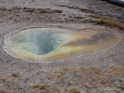 Yellowstone. Upper Geyser Basin. Belgian Pool