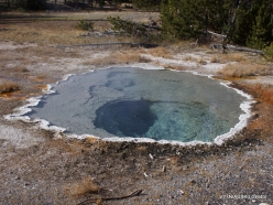 Yellowstone. Upper Geyser Basin. Crested Pool (2)