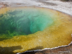 Yellowstone. Upper Geyser Basin. Morning Glory Pool (5)