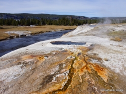 Yellowstone. Upper Geyser Basin. South Scaloped Spring
